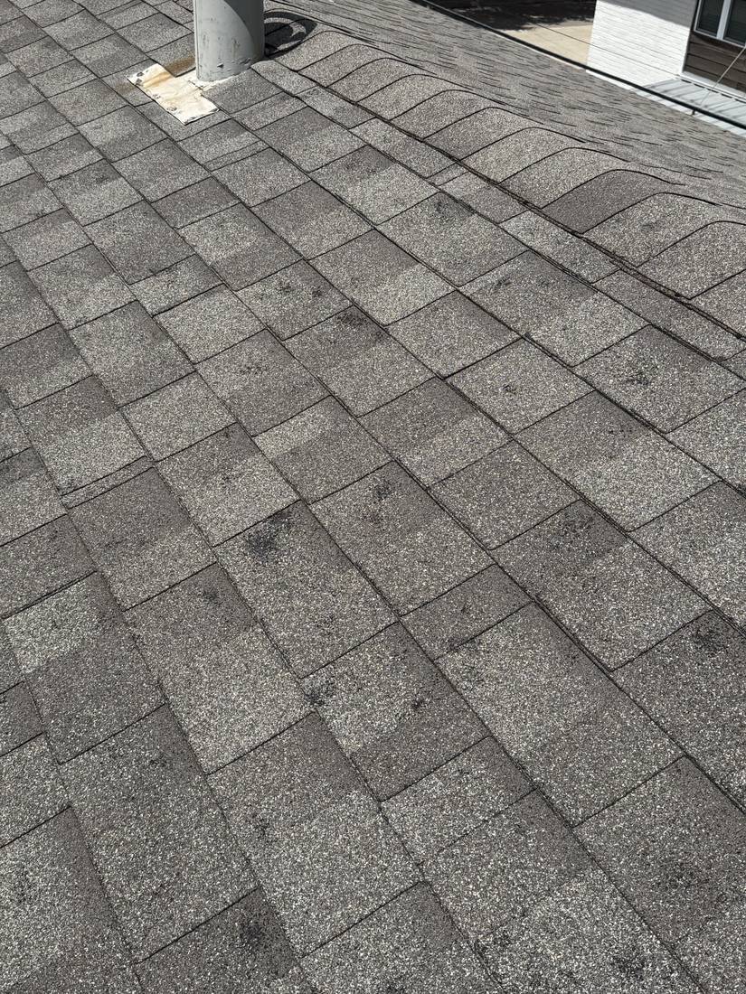 Asphalt shingle roof slope showing several scattered hail impact marks